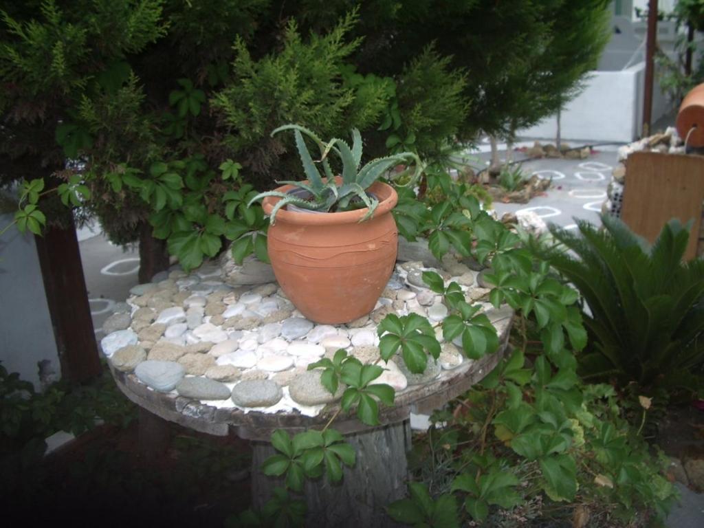Skyros Panorama Studios Exterior photo